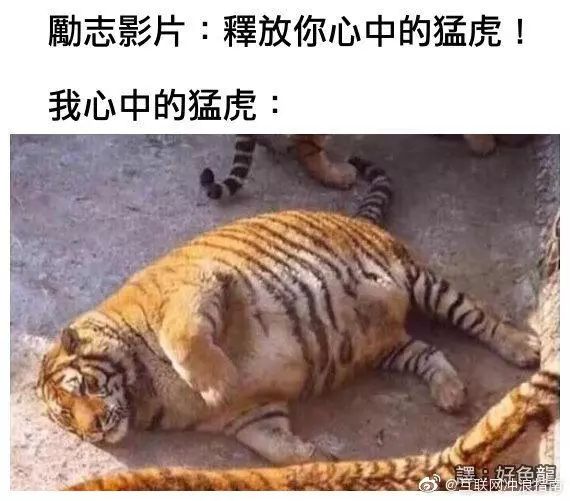 小时候的感觉我感同身受,小时候的我感同身受完整版