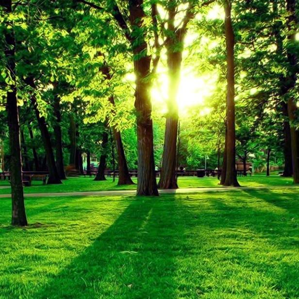 江西省南昌市首批22所足球特色示范幼儿园名单，足球从娃娃抓起