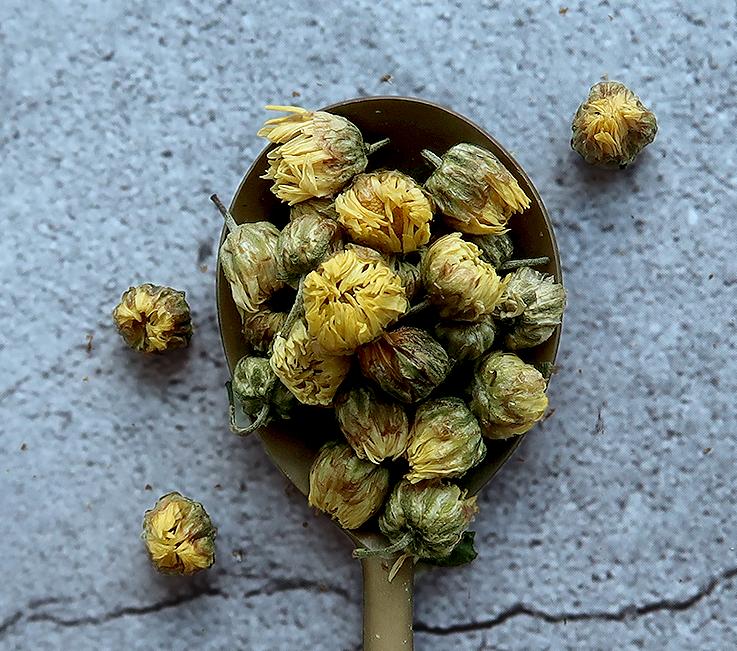 被硫磺熏过的菊花对比,被熏过的菊花