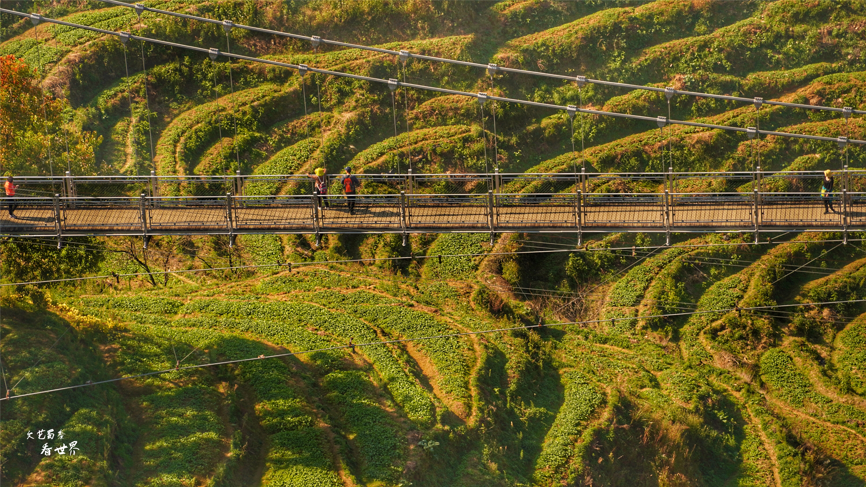篁岭人山人海,江西婺源篁岭景区怎样玩最好
