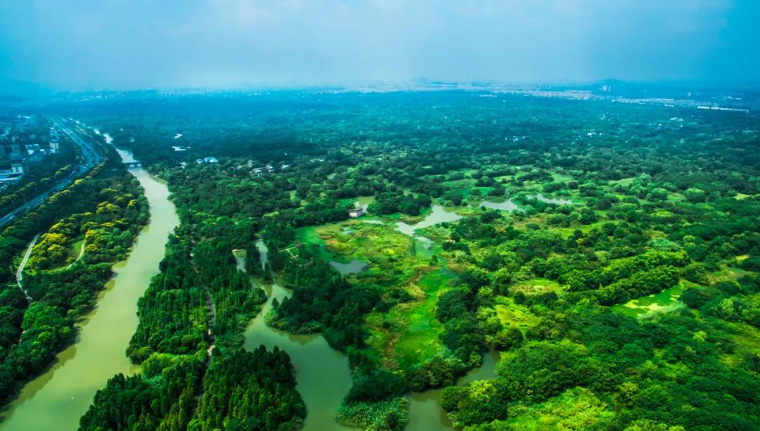 西溪湿地，对杭州意味着什么？