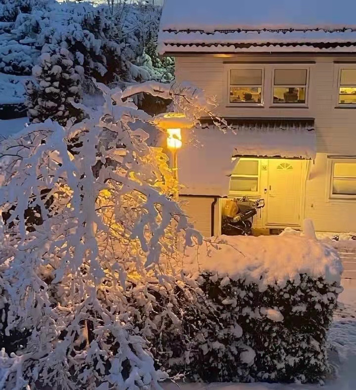 那些小说里惊艳了你的文案,那些堪称神来之笔的小说开头文案