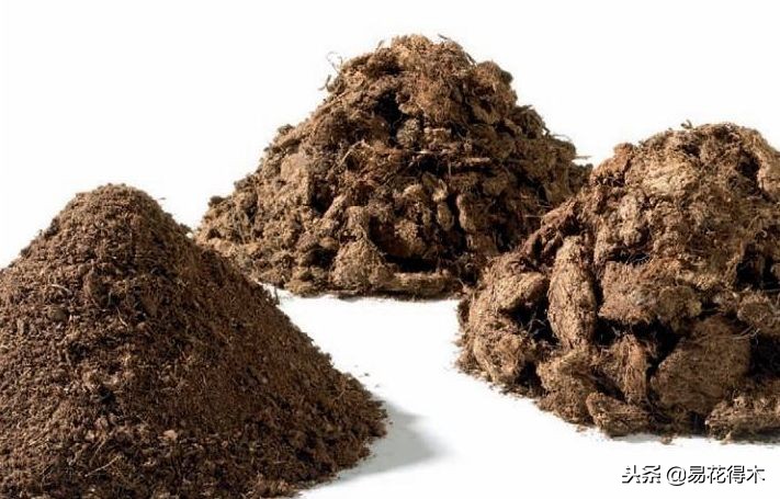 野山楂下山桩用什么土壤好,下山桩保湿成活技术