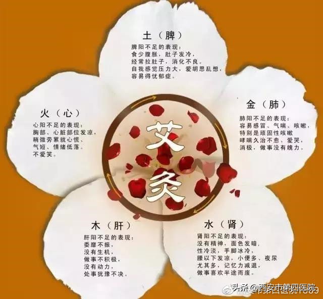 针之不及必须灸之原文,针之不及必须灸之原文出处