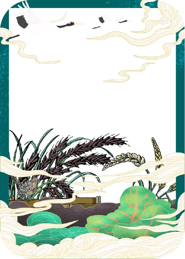 「手绘湖州」小满节气，一起揭开湖州古称“菰城”背后的玄机