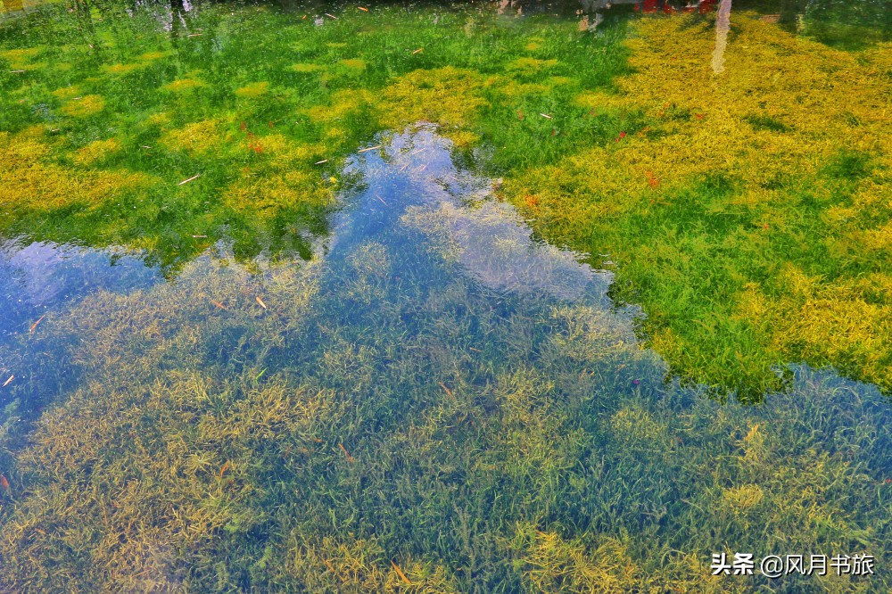 广东佛山百岁名园40年建成，关山月题名，罗哲文称它岭南第一园