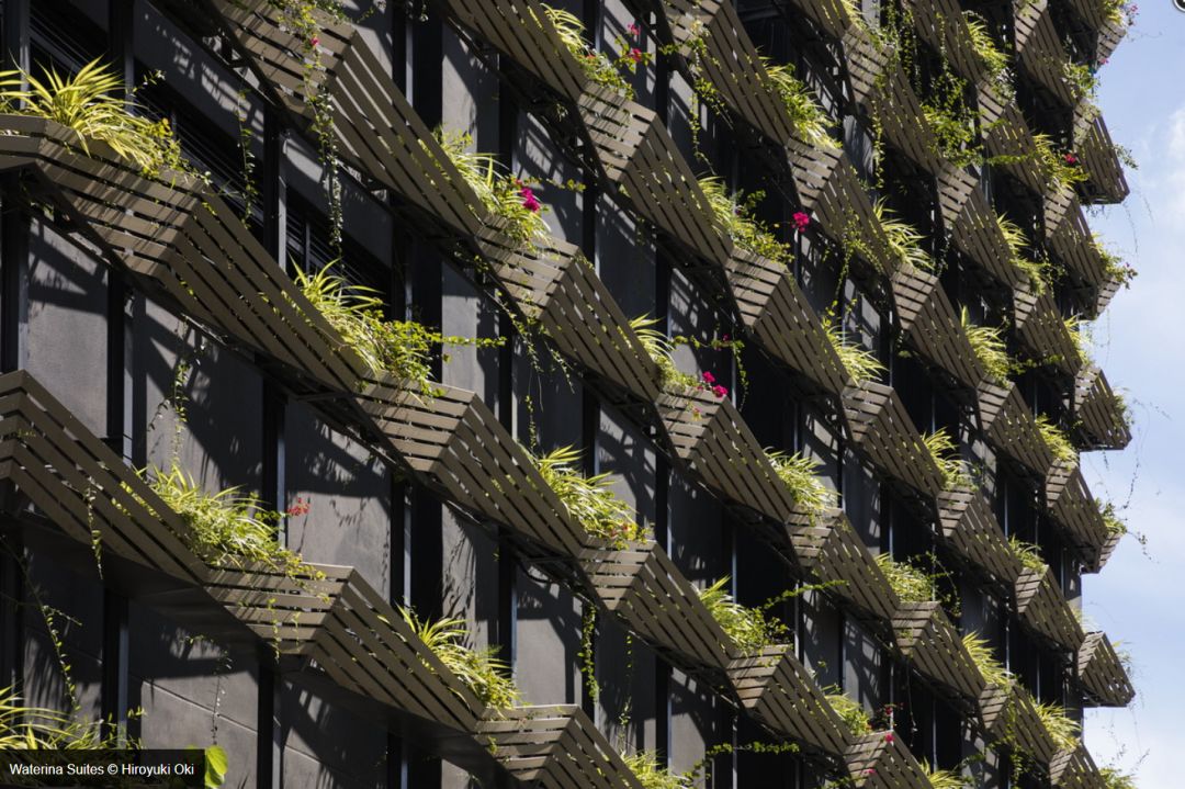 隈研吾绝美竹屋,隈研吾东京住宅