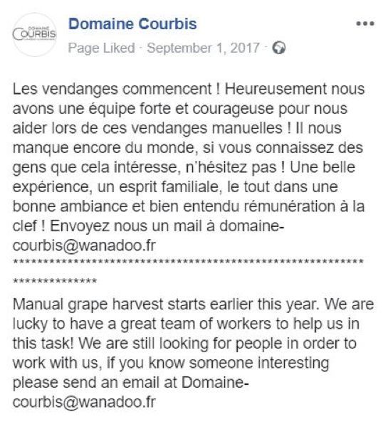 品乐Pinor：在法国葡萄园上班，就像在东北掰玉米……