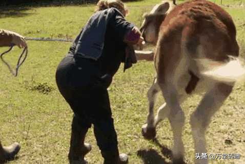 长城那么矮真的能抵御外敌入侵吗,万堂砖雕跟唐语砖雕哪个好