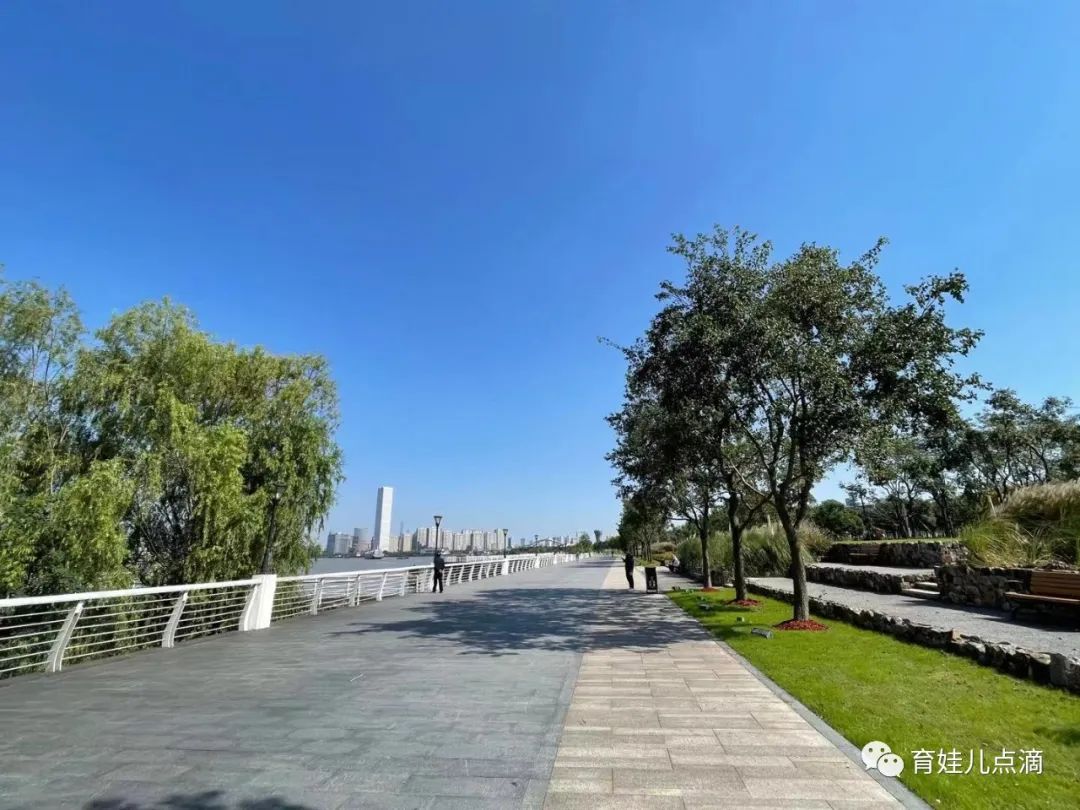 前滩有哪些适合遛娃的地方,前滩遛娃圣地