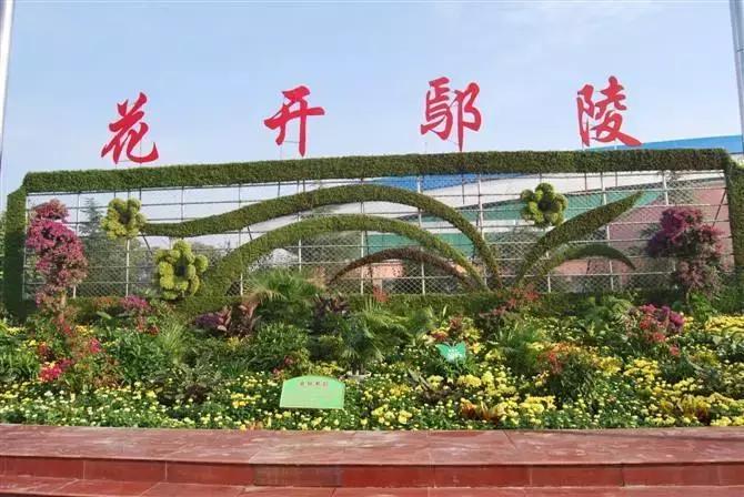 全国花木之乡在哪里,中国十大花木基地