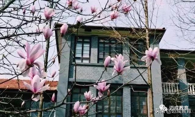 专转本院校介绍之|扬州大学