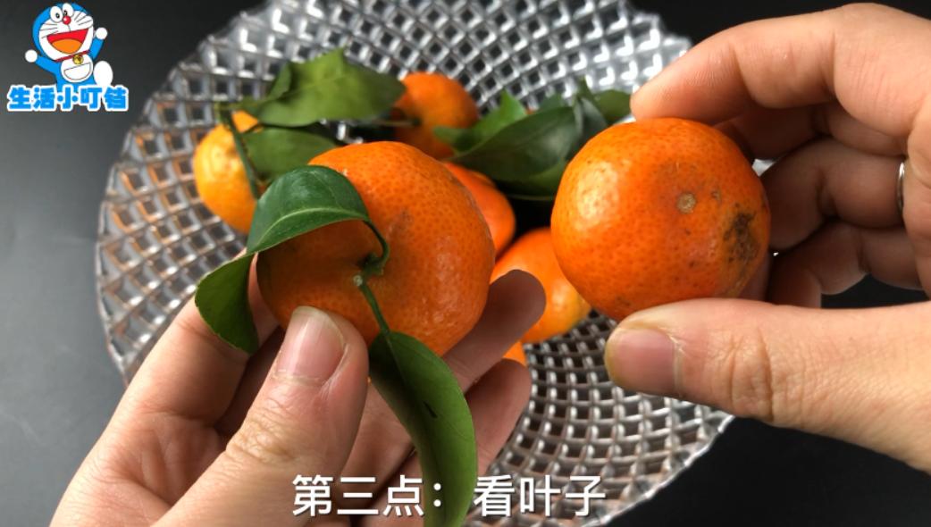 挑选砂糖橘的正确方法,教你挑选砂糖橘的技巧