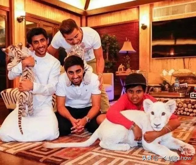 看看别人家的小孩,看看别人家的孩子