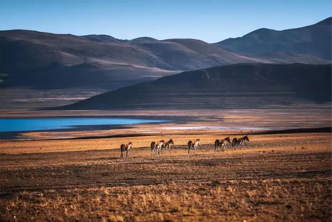 国内小众拍照胜地排名,文艺气息满溢的拍照圣地