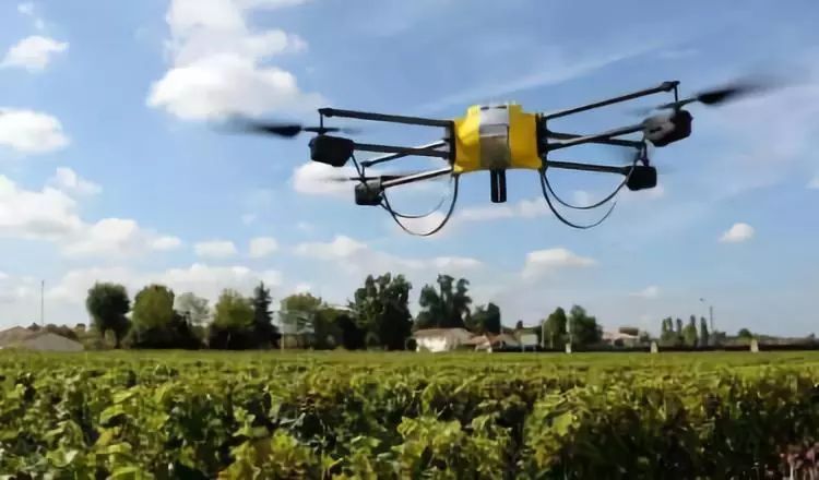 AI的下一波价值浪潮将出现在农业,最受欢迎的7个AI应用了解一下