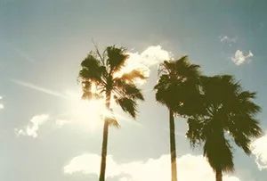 美国洛杉矶潮牌,洛杉矶做旧潮牌