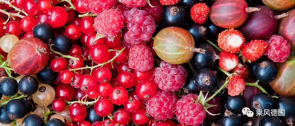 德国街道真实生活,德国生活慕尼黑