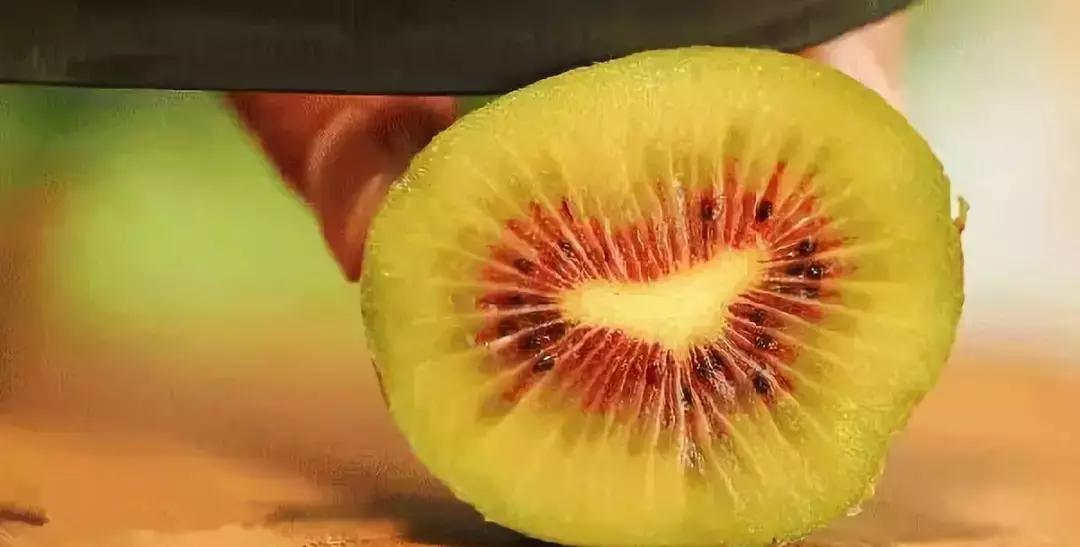 金秋采摘正当时!山东这十种田间美味错过再等一年!