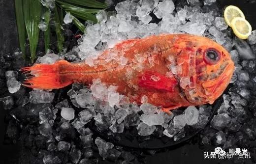 春节必买的海鲜,一年四季海鲜怎么选