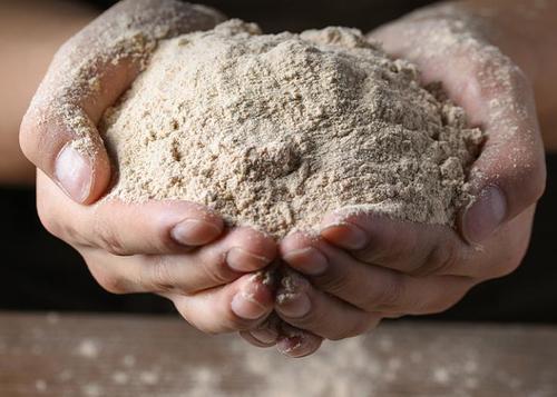 你把锋芒直插苍穹：高原“精灵”青稞的风采（原创）