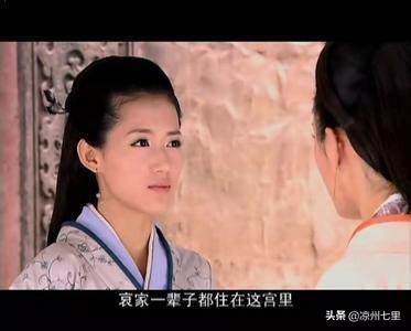 史载懦弱不堪的皇帝，*伦乱**娶外甥女并守活寡，这口锅背的冤枉