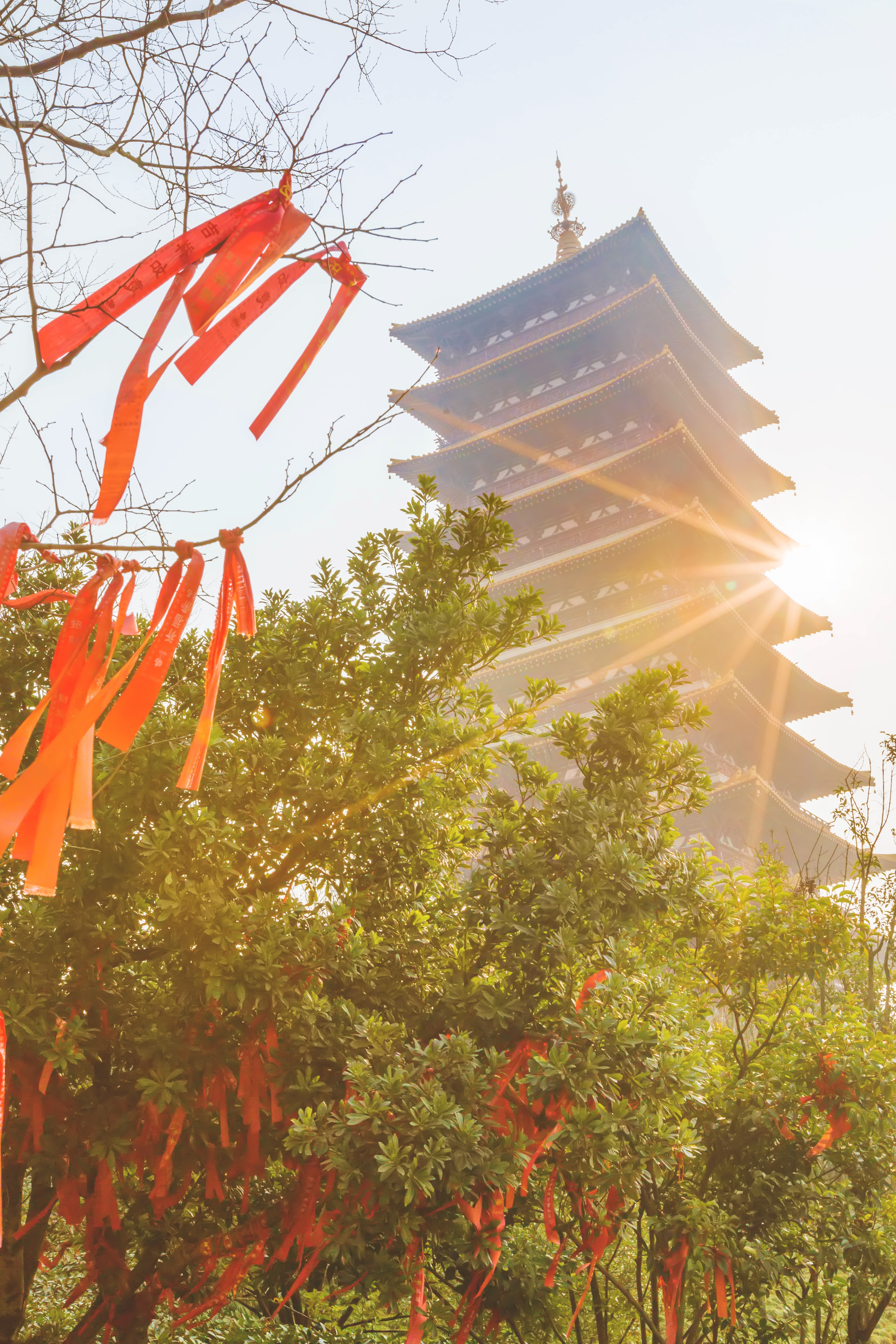 释迦牟尼舍利子头盖骨,释迦牟尼的真身头盖骨