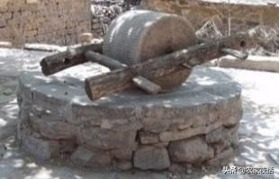 武志龙是谁,武志龙图片