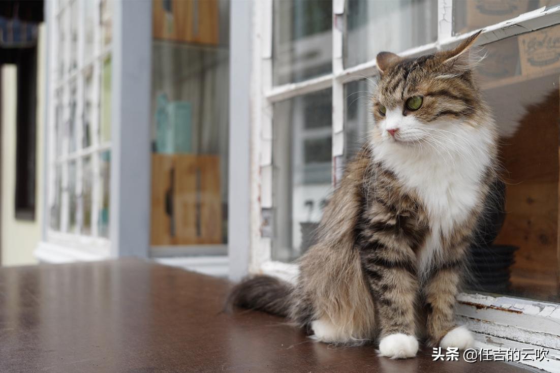 索尼a7c相机说明书,索尼相机a73和a7c有什么区别