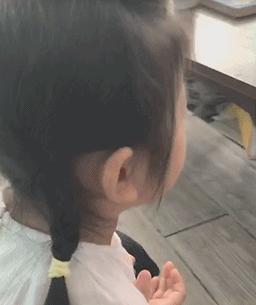 让十岁孩子注意力集中的玩具,2022国外抖音爆火的儿童玩具