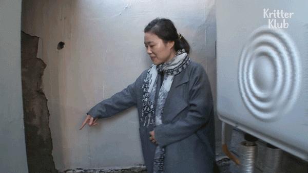 猫会做梦会梦到什么,猫会做梦睡觉哼哼唧唧