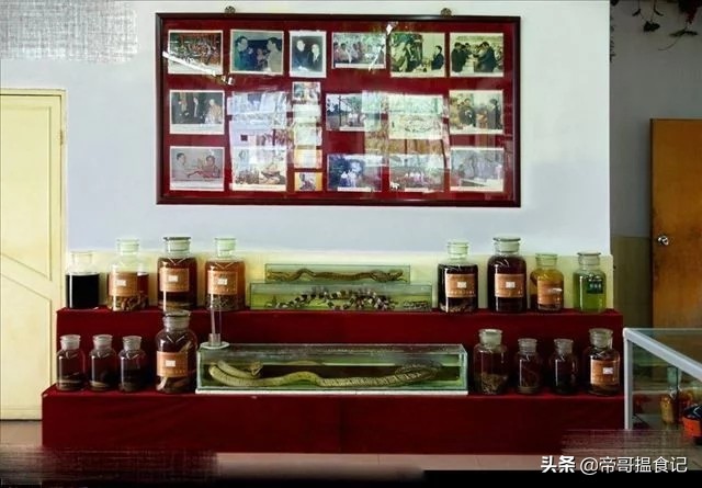 碰到蛇，别人只想跑，然而广东人只想吃掉它