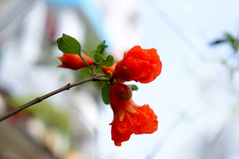 皇帝后宫佳丽3000的故事,皇上与后宫嫔妃的故事