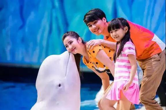 游玩珠海长隆海洋王国住企鹅酒店,珠海长隆旅游民宿推荐