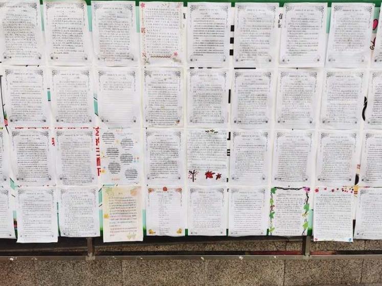 太有创意了！古城实小开展“秋•树叶”为主题的实践活动