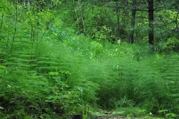 哈尔滨周边有10多个绝美胜地,哈尔滨自驾三亚边走边玩最佳路线