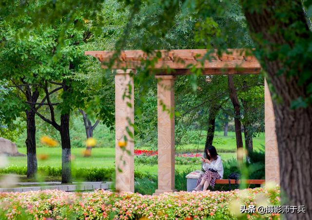 哈尔滨太阳岛美丽的秋色,哈尔滨美丽的太阳岛