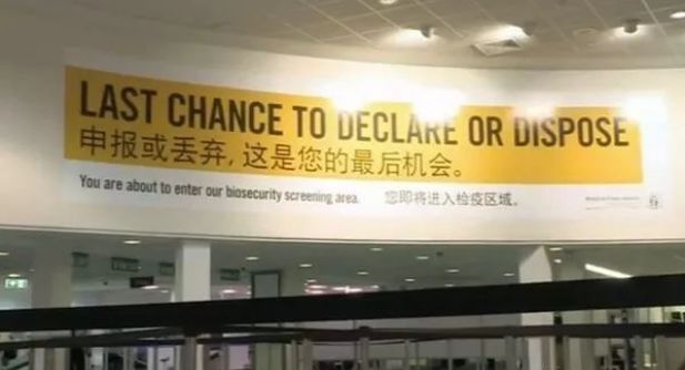 澳洲海关入境检查纪录片4个孩子,中国男孩入境澳洲被查