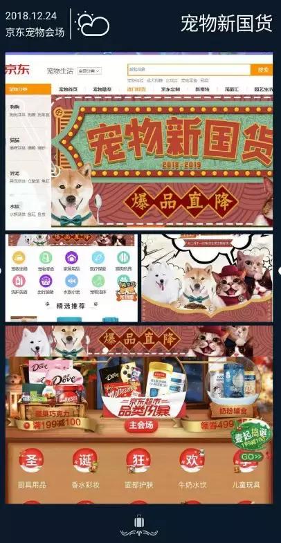 宠物新国货大会,第二届宠物新国货大会直播