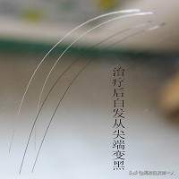 神治合集,神治法