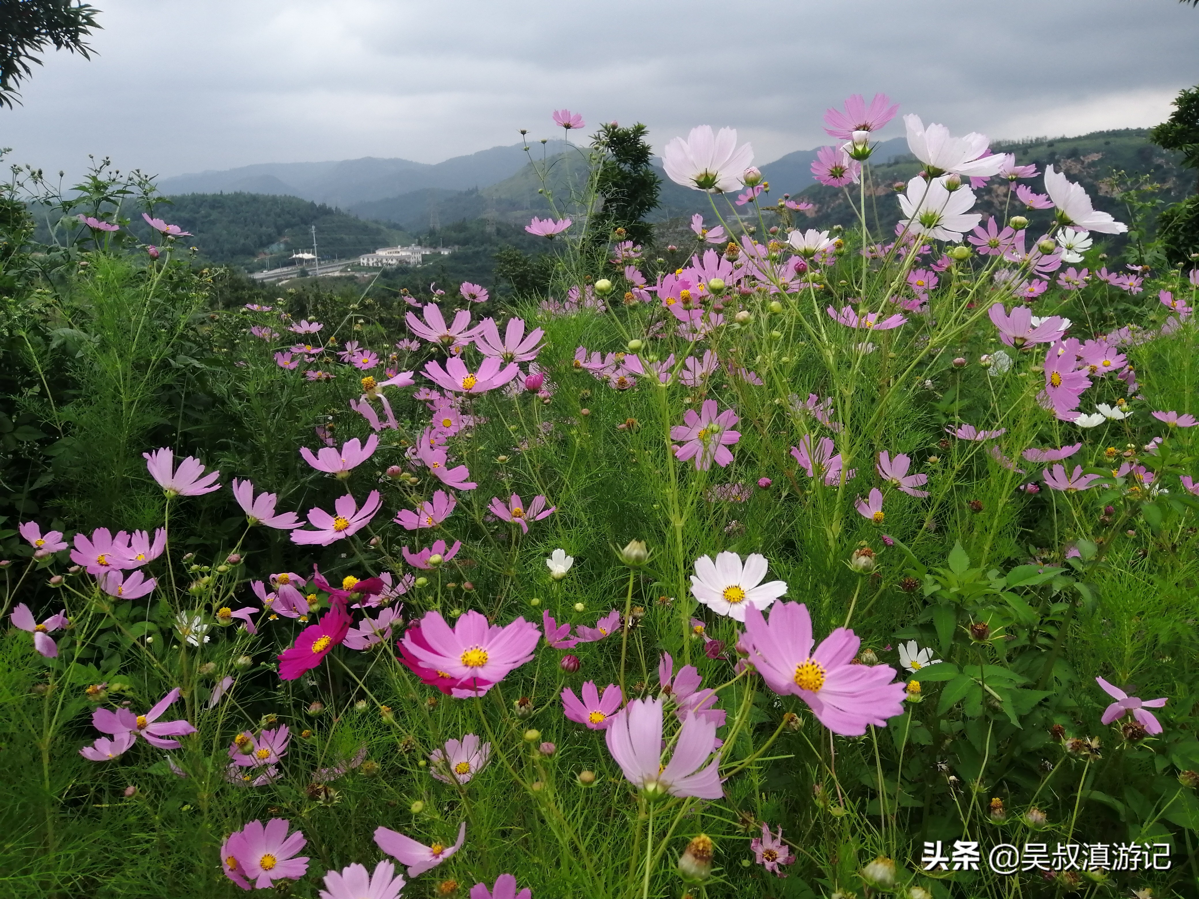 寻找奇石的亲身经历,寻找石盆寺视频