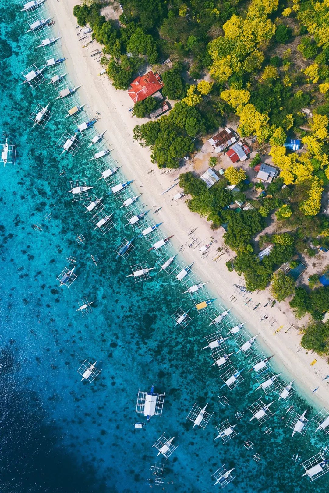 菲律宾碎玻璃,菲律宾塑料破碎