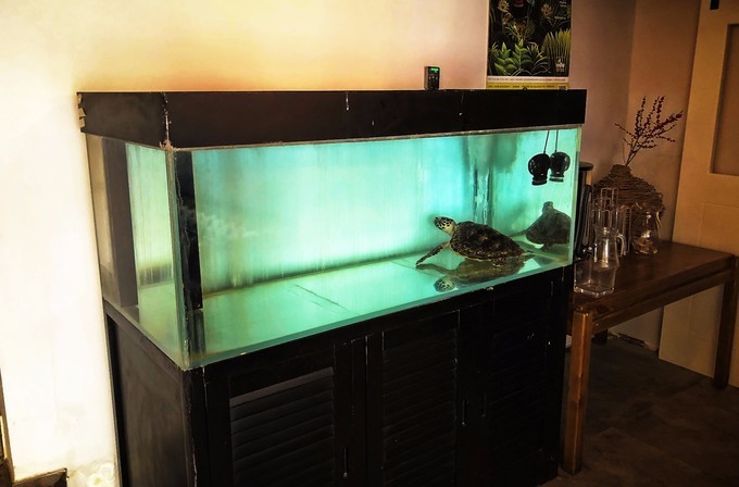 最是人间烟火味,天津人间烟火