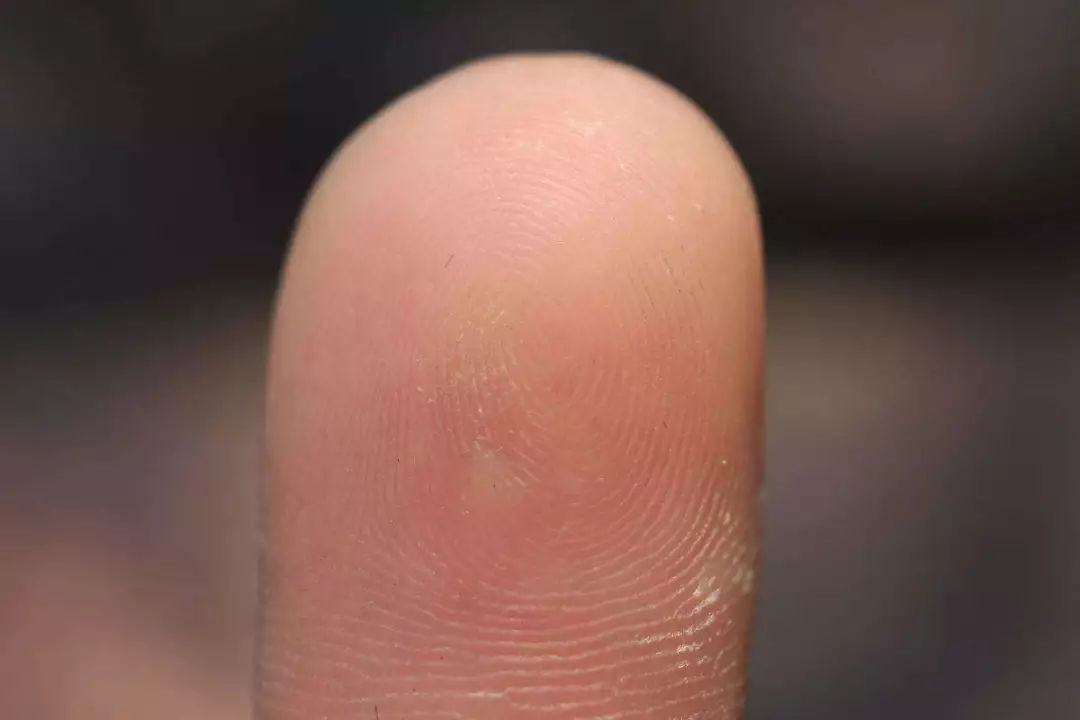 指纹锁使用技巧小视频,正确使用指纹锁方法