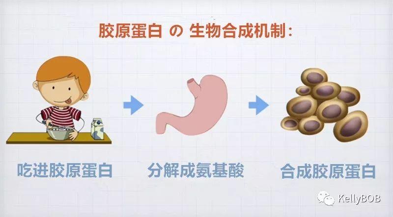 真黑黄皮逆袭到白皮的十年美白路,黑黄皮逆袭冷白皮详细方法