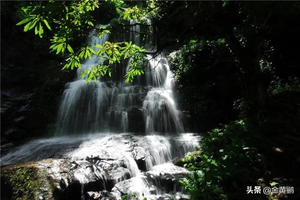 为什么云南女人长相好看,云南真的很漂亮吗