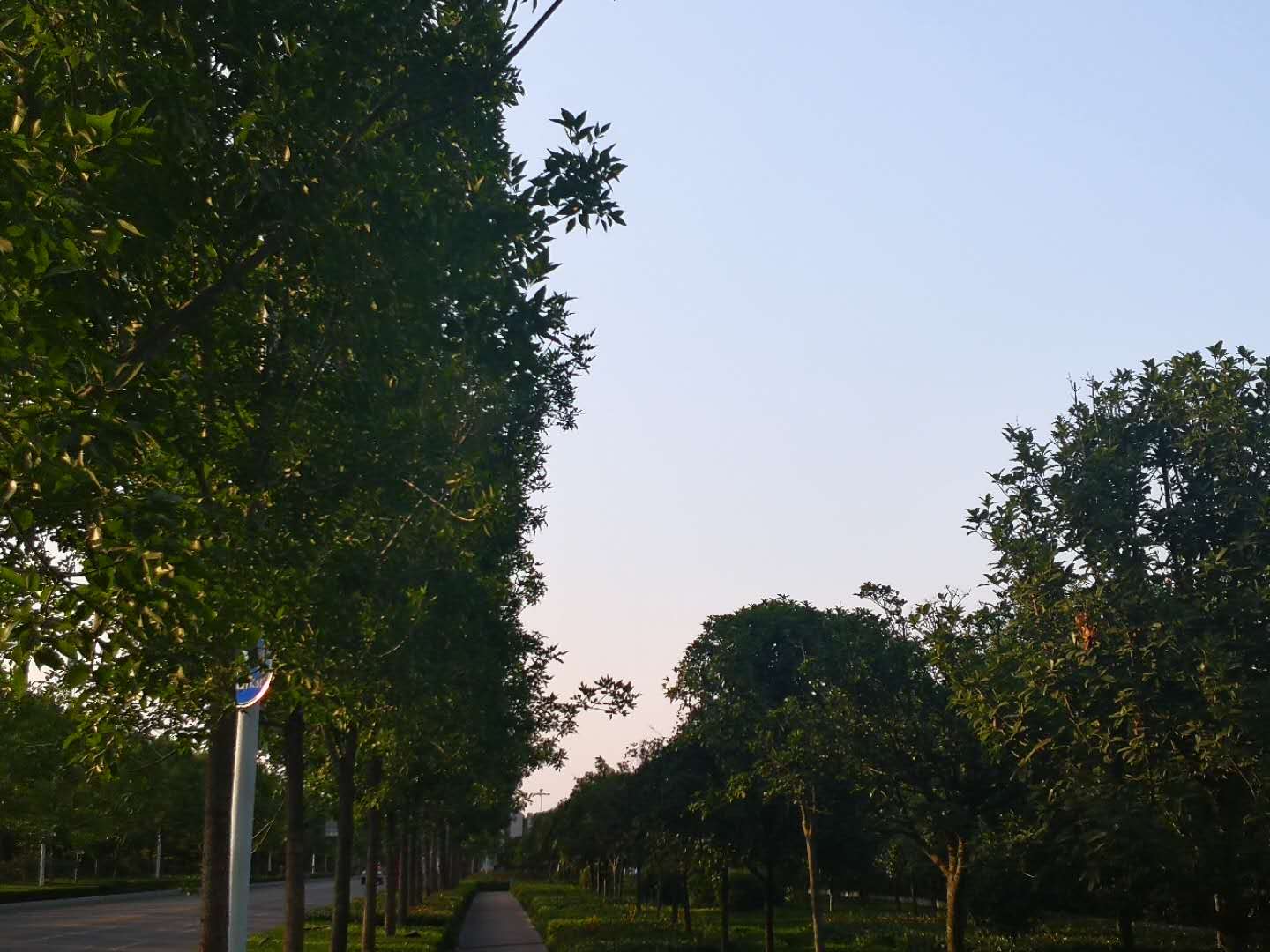 南阳有哪些好考的驾校,南阳哪个驾校考驾照比较好