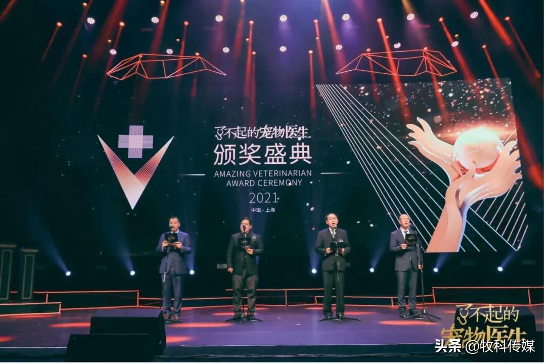 初心如磐笃行致远中国人寿,初心如磐笃行致远军训落幕篇