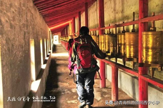 青海隐藏的秘密,青海发现美丽秘境全世界为之瞩目