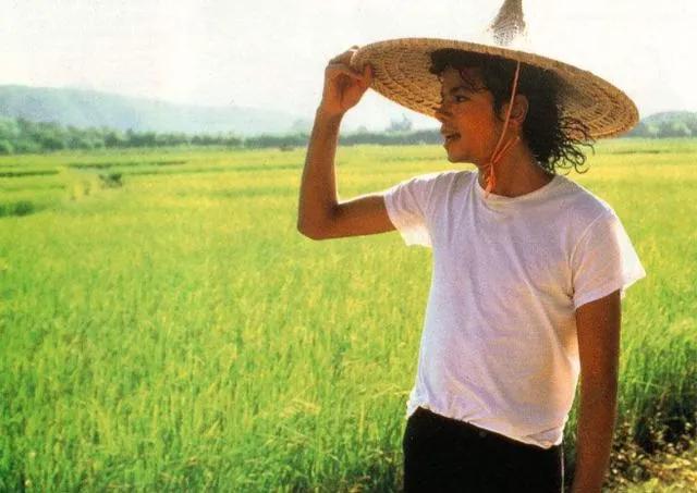 迈克尔杰克逊去世粉丝们的反应,迈克尔杰克逊一生传奇与坎坷